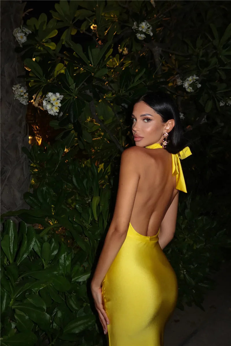 Mozision Halter Deep V Neck Backless Sexy Maxi Dress For Women Fashion Solid Sleeveless Bodycon Club Party Evening Long Dress